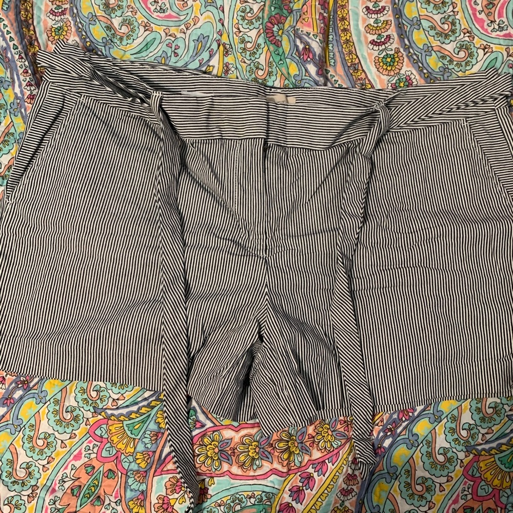 Loft Outlet Shorts with belt